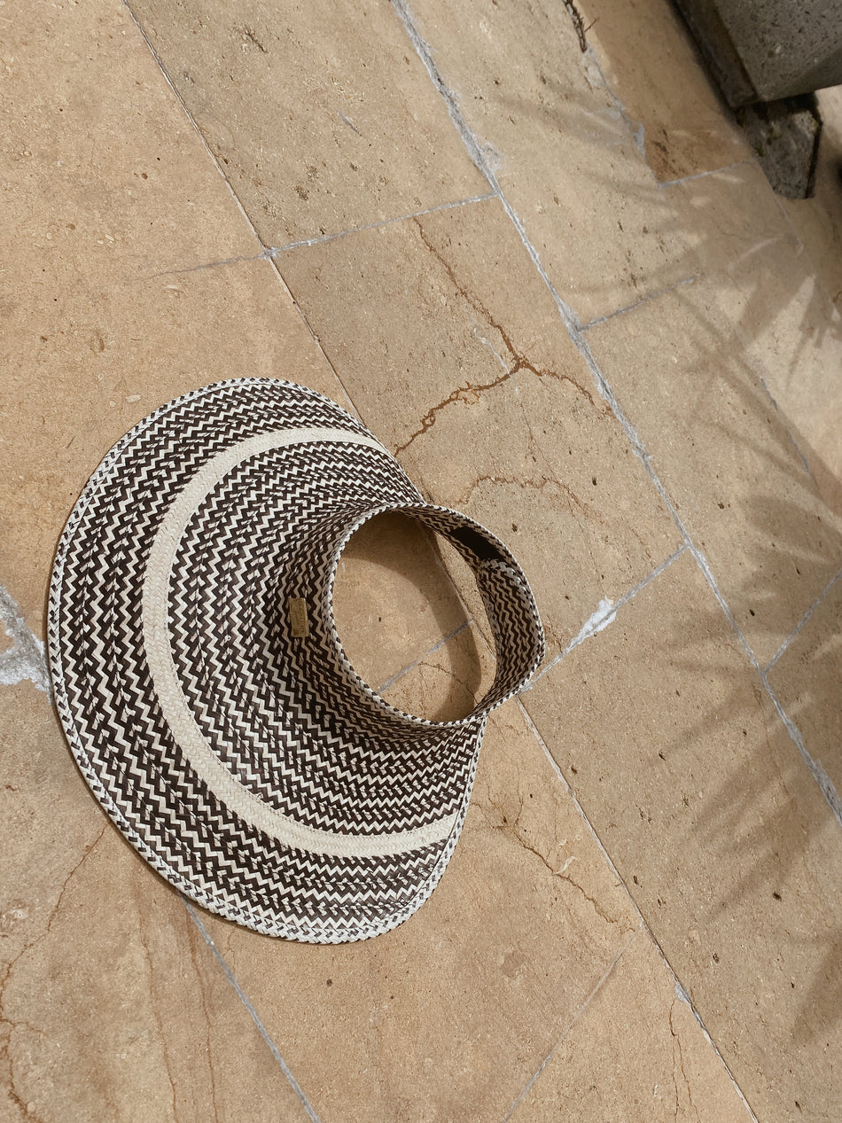 SUN VISOR ARAS