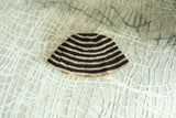 Écru zebra