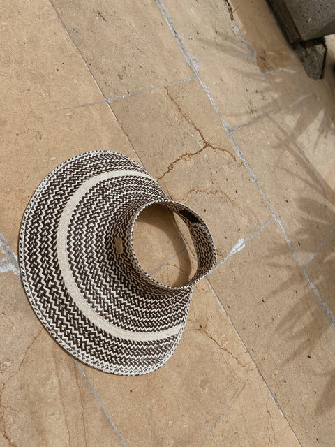 SUN VISOR ARAS